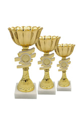 CTS 267 | SET de 3 Cupe Sportive - TrophyShop